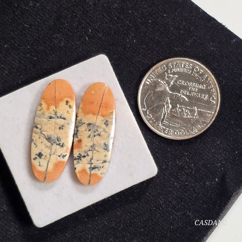 Dendritic Jasper Cabochon