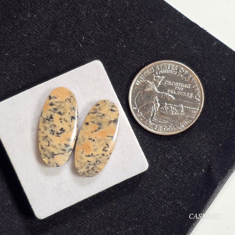 Dendritic Jasper Cabochon