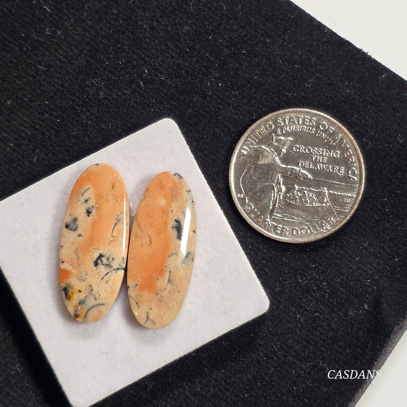 Dendritic Jasper Cabochon