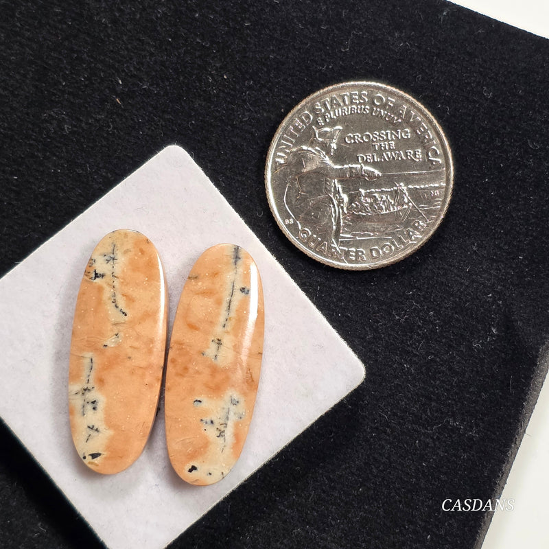 Dendritic Jasper Cabochon