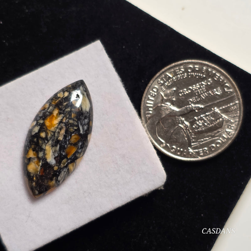 Spondylus Night Composite Cabochon (Spiny Oyster Composite)