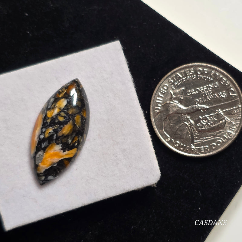 Spondylus Night Composite Cabochon (Spiny Oyster Composite)