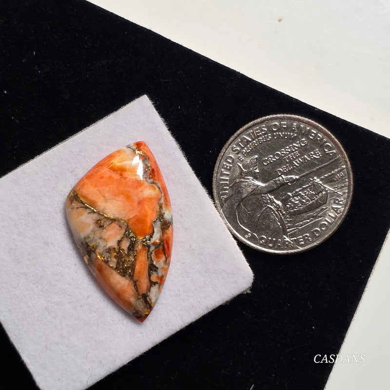 A Spondylus Day Composite Cabochon (Spiny Oyster Composite)