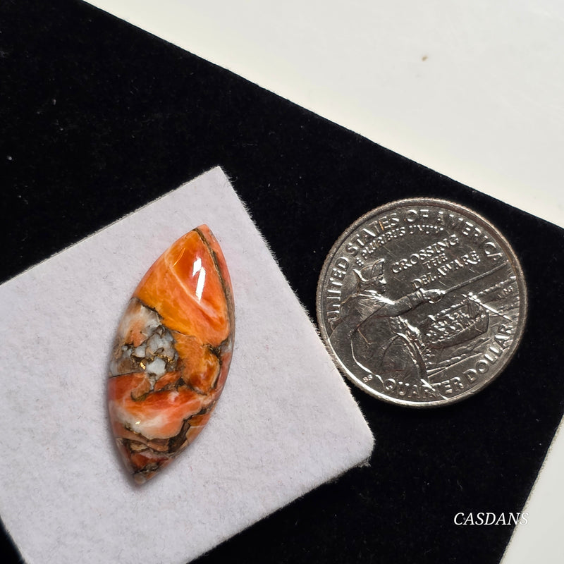 A Spondylus Day Composite Cabochon (Spiny Oyster Composite)