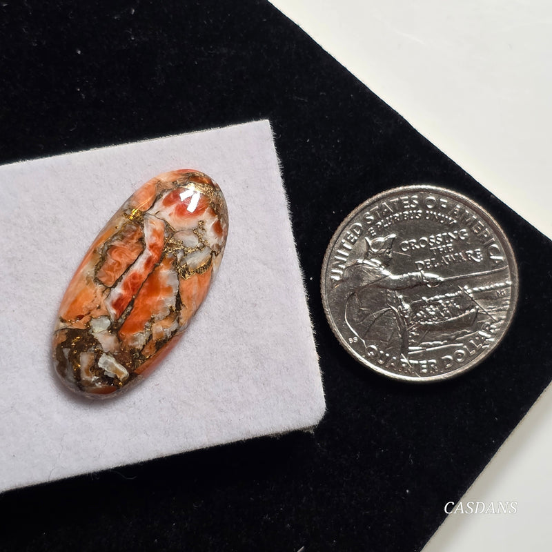 A Spondylus Day Composite Cabochon (Spiny Oyster Composite)