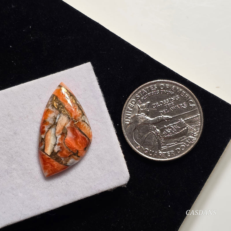 A Spondylus Day Composite Cabochon (Spiny Oyster Composite)