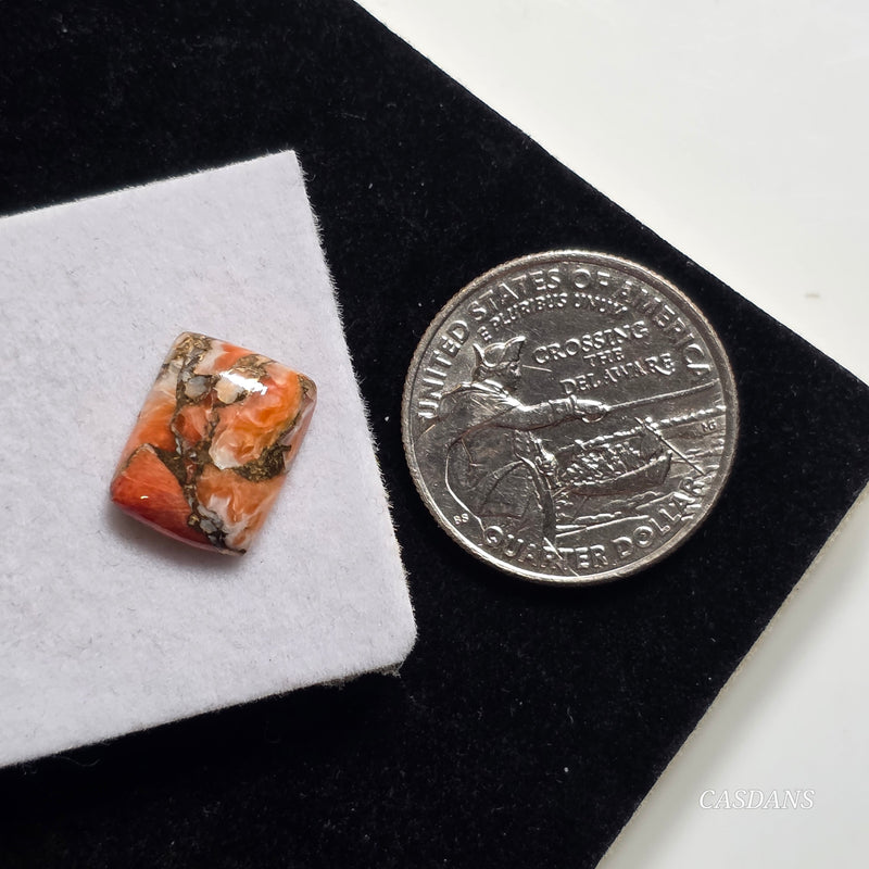 A Spondylus Day Composite Cabochon (Spiny Oyster Composite)