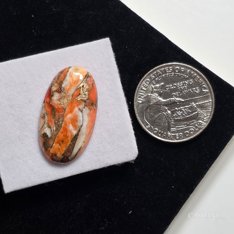 A Spondylus Day Composite Cabochon (Spiny Oyster Composite)