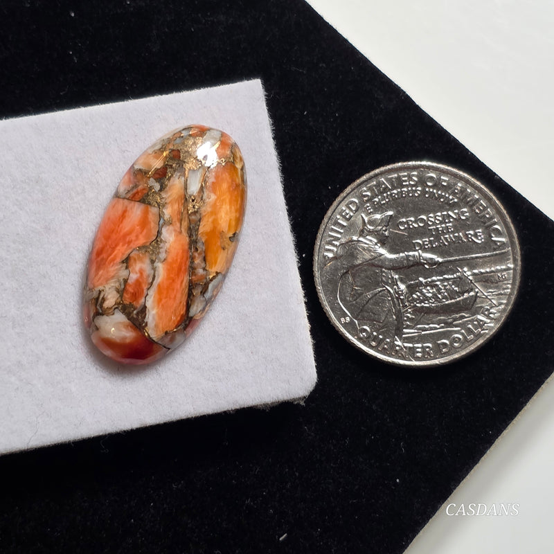 A Spondylus Day Composite Cabochon (Spiny Oyster Composite)