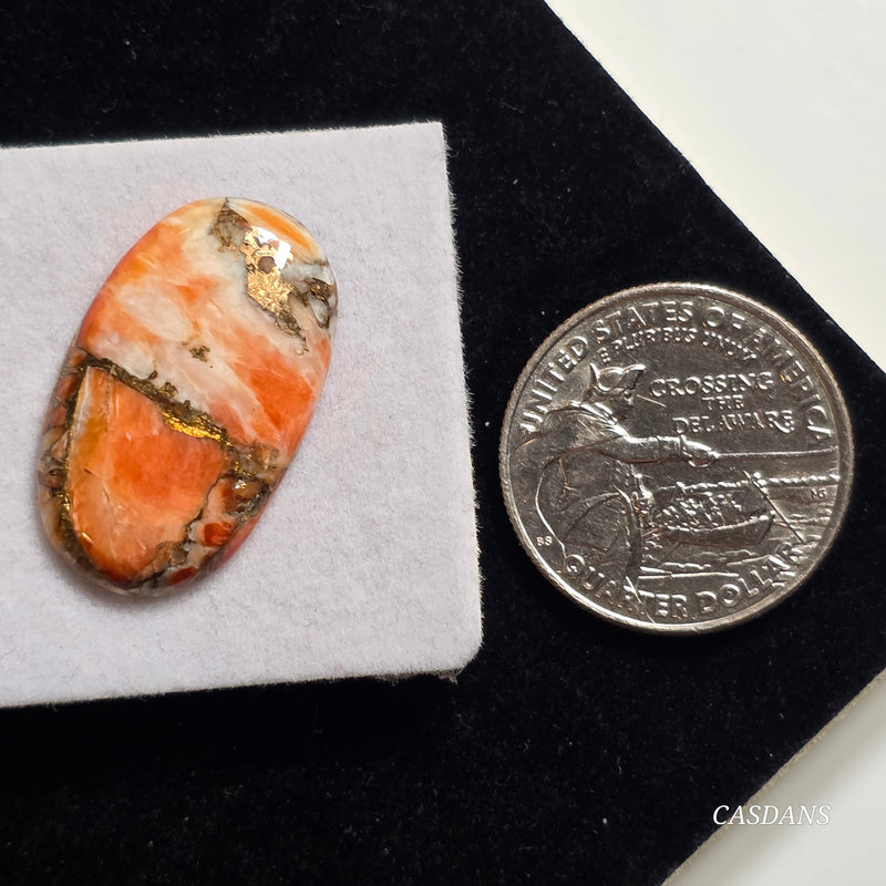 A Spondylus Day Composite Cabochon (Spiny Oyster Composite)