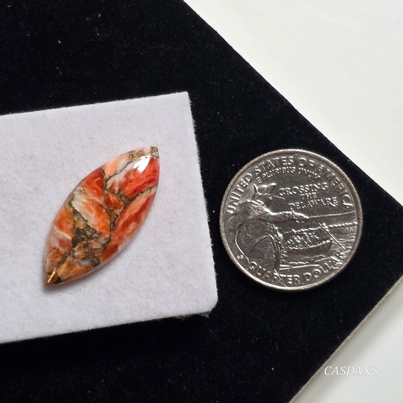 A Spondylus Day Composite Cabochon (Spiny Oyster Composite)