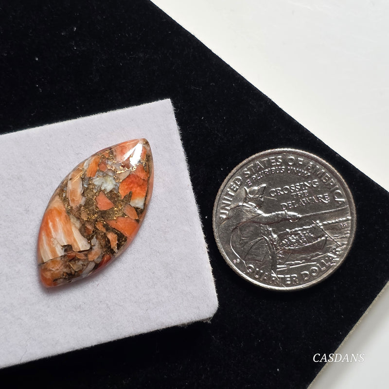 A Spondylus Day Composite Cabochon (Spiny Oyster Composite)