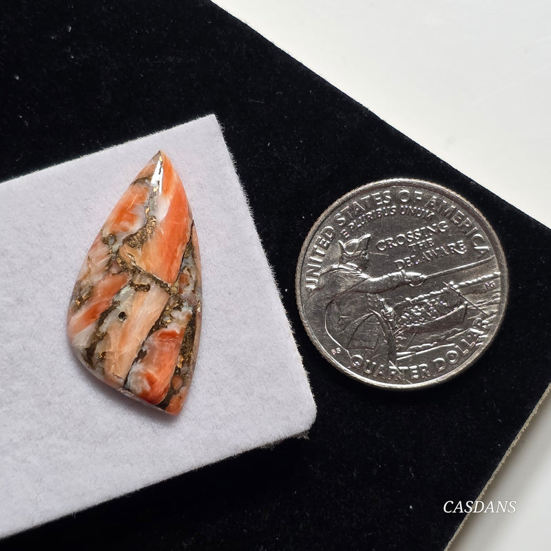 A Spondylus Day Composite Cabochon (Spiny Oyster Composite)