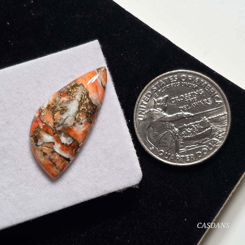 A Spondylus Day Composite Cabochon (Spiny Oyster Composite)