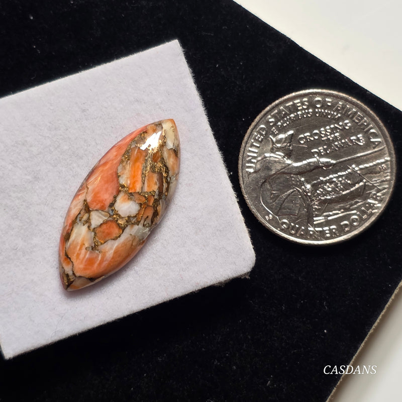 A Spondylus Day Composite Cabochon (Spiny Oyster Composite)