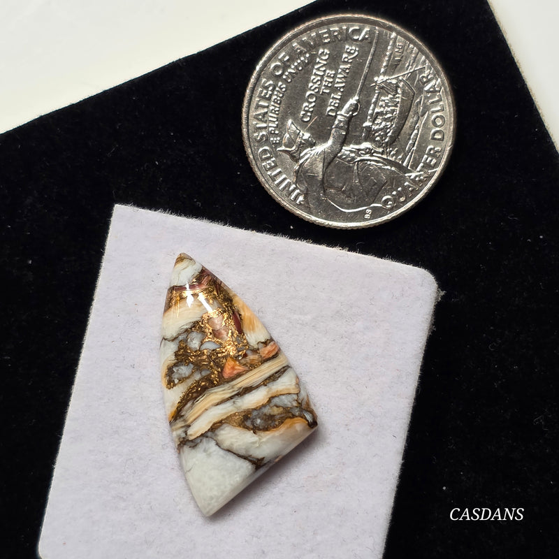 Lion Paw Shell Bronze Composite Cabochon