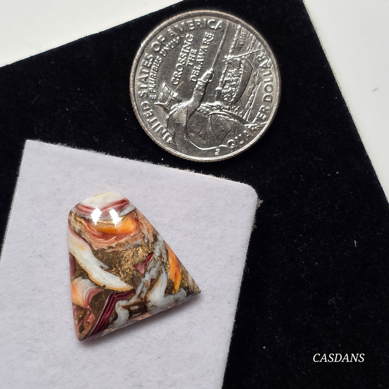 Lion Paw Shell Bronze Composite Cabochon