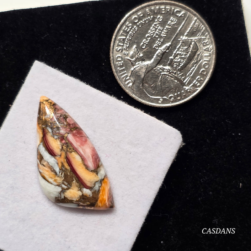 Lion Paw Shell Bronze Composite Cabochon