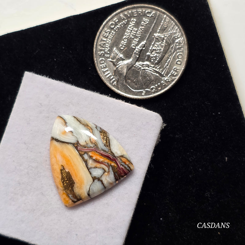 Lion Paw Shell Bronze Composite Cabochon