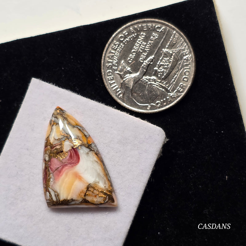 Lion Paw Shell Bronze Composite Cabochon