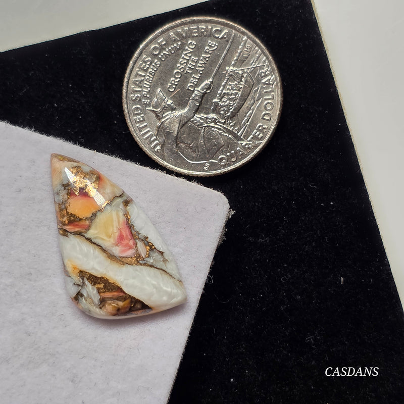 Lion Paw Shell Bronze Composite Cabochon