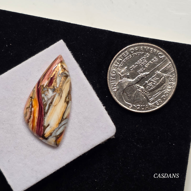 Lion Paw Shell Bronze Composite Cabochon