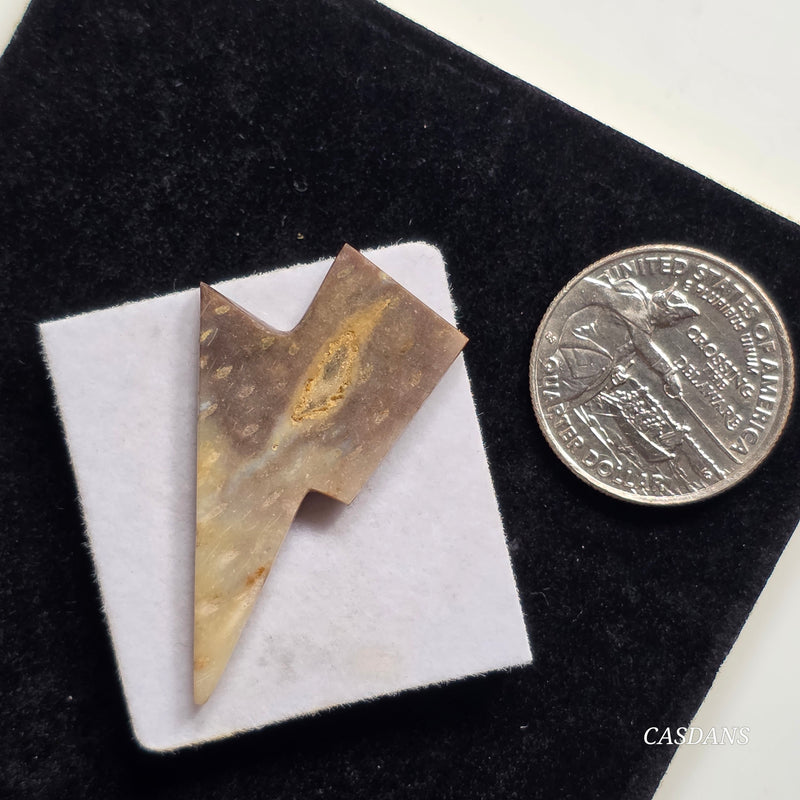 Petrified Palmroot Lightning Bolt Cabochon