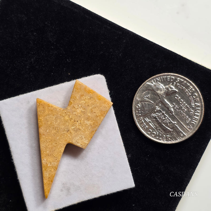 Coral Fossil Lightning Bolt Cabochon