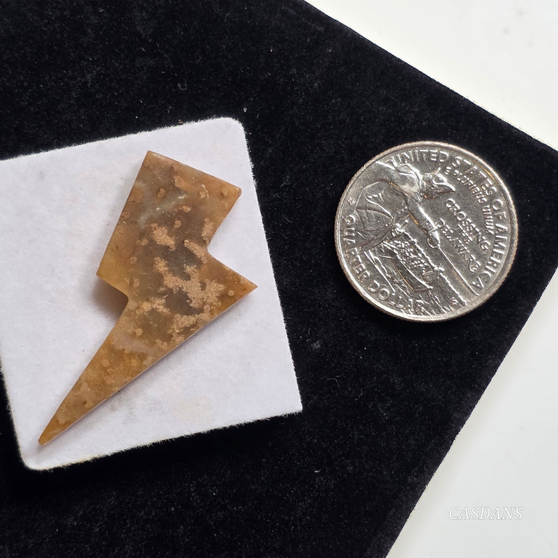 Petrified Palmroot Lightning Bolt Cabochon