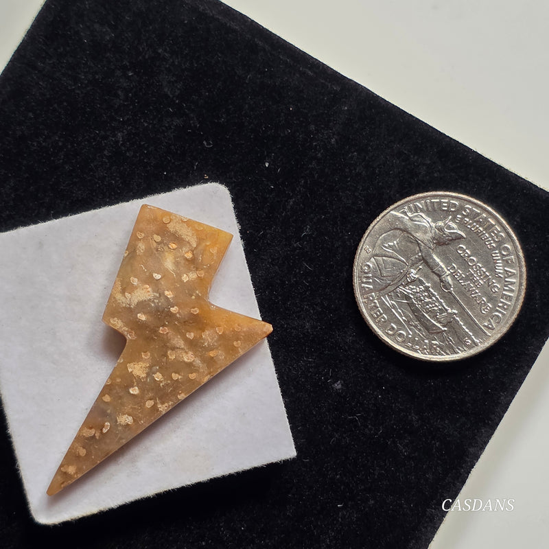 Petrified Palmroot Lightning Bolt Cabochon