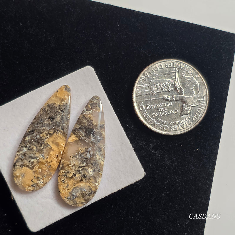 Tiger Dendritic Agate Cabochon Pair