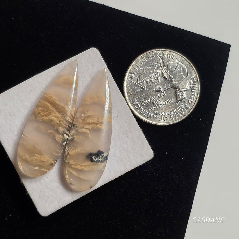 Tiger Dendritic Agate Cabochon Pair