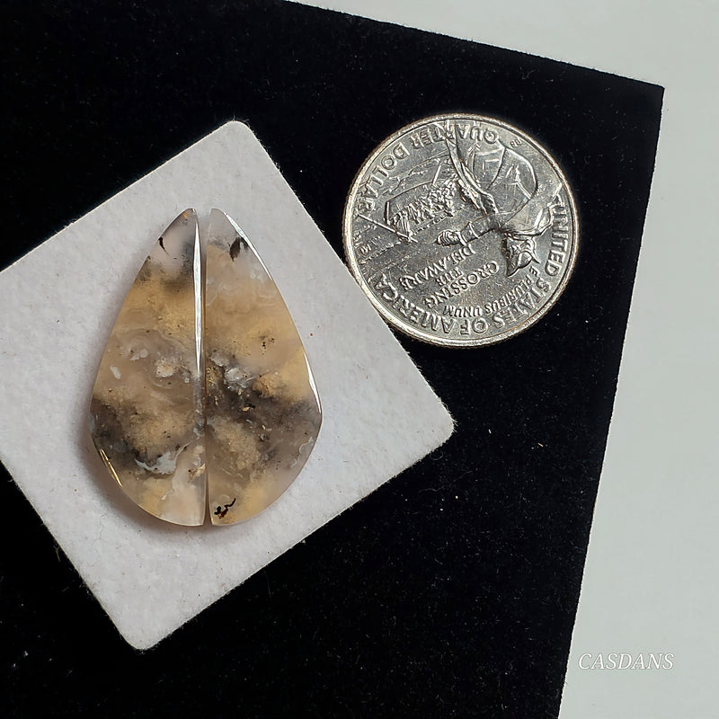 Tiger Dendritic Agate Cabochon Pair