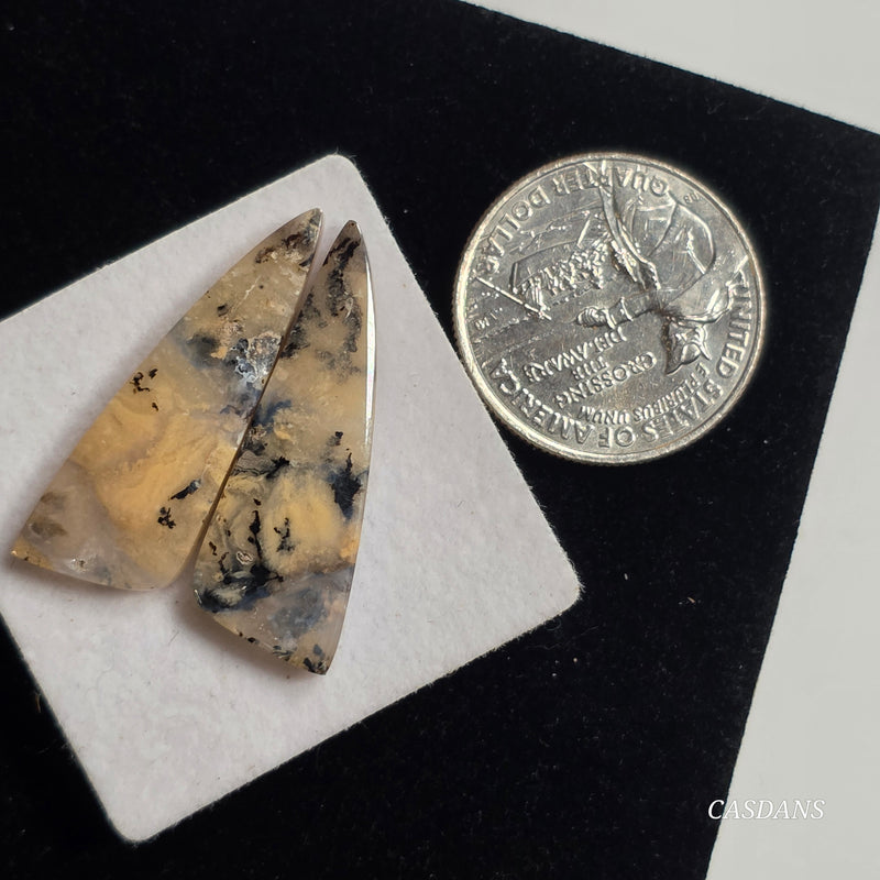 Tiger Dendritic Agate Cabochon Pair