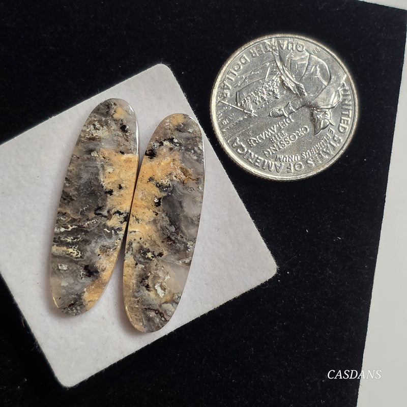 Tiger Dendritic Agate Cabochon Pair