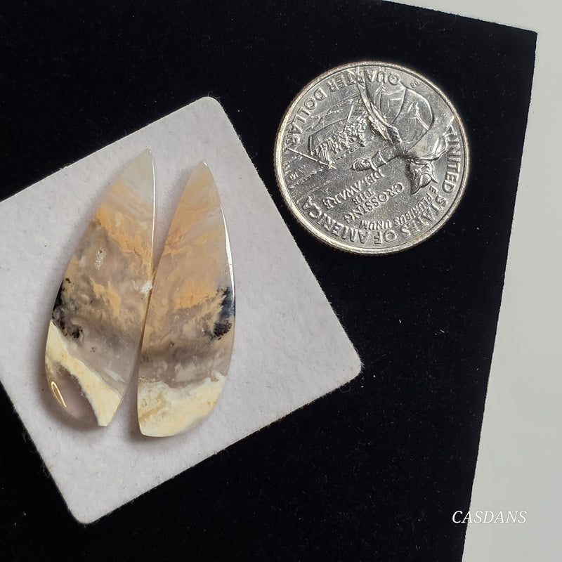 Tiger Dendritic Agate Cabochon Pair