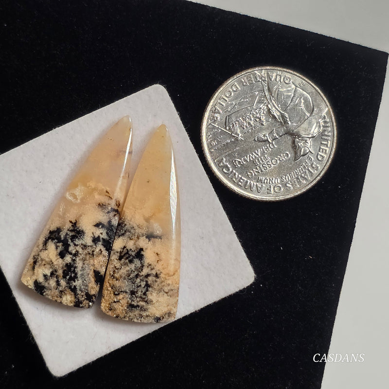 Tiger Dendritic Agate Cabochon Pair