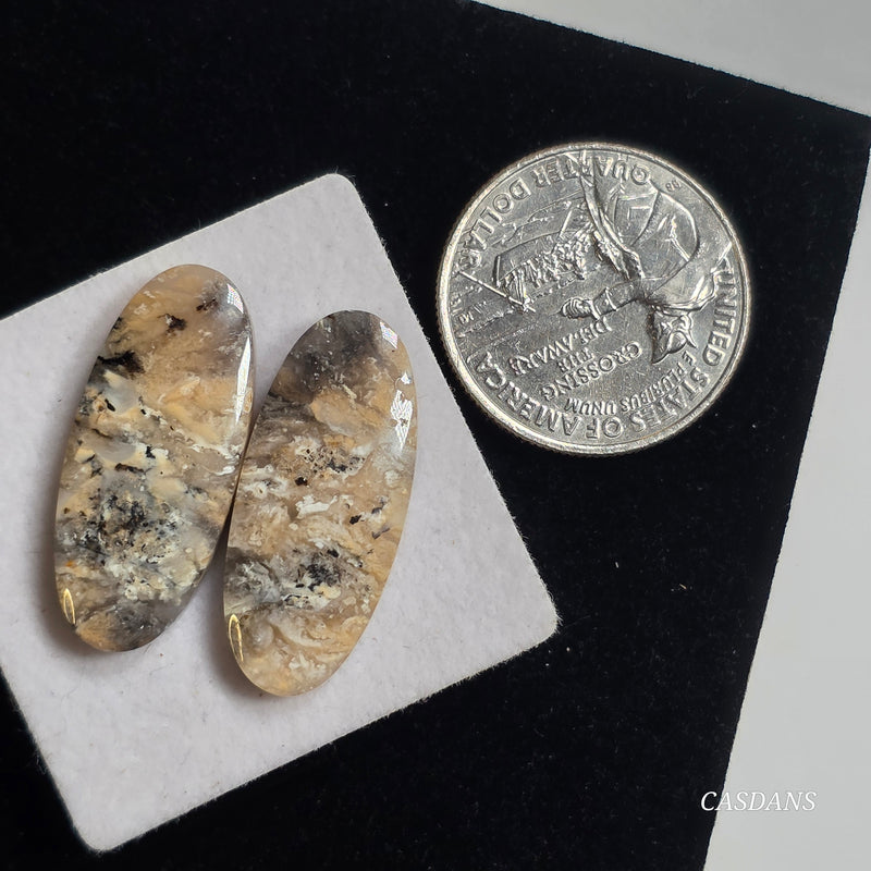 Tiger Dendritic Agate Cabochon Pair