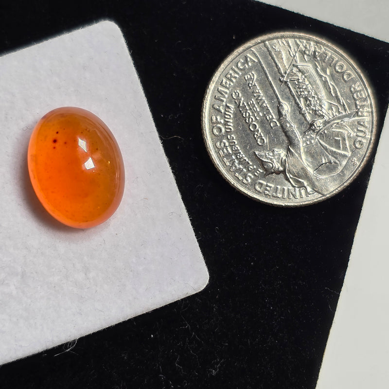 Carnelian 12x16mm Oval Cabochon (1 Piece)