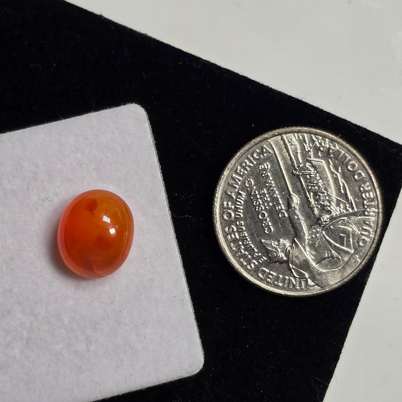 Carnelian 10x12mm Oval Cabochon (1 Piece)