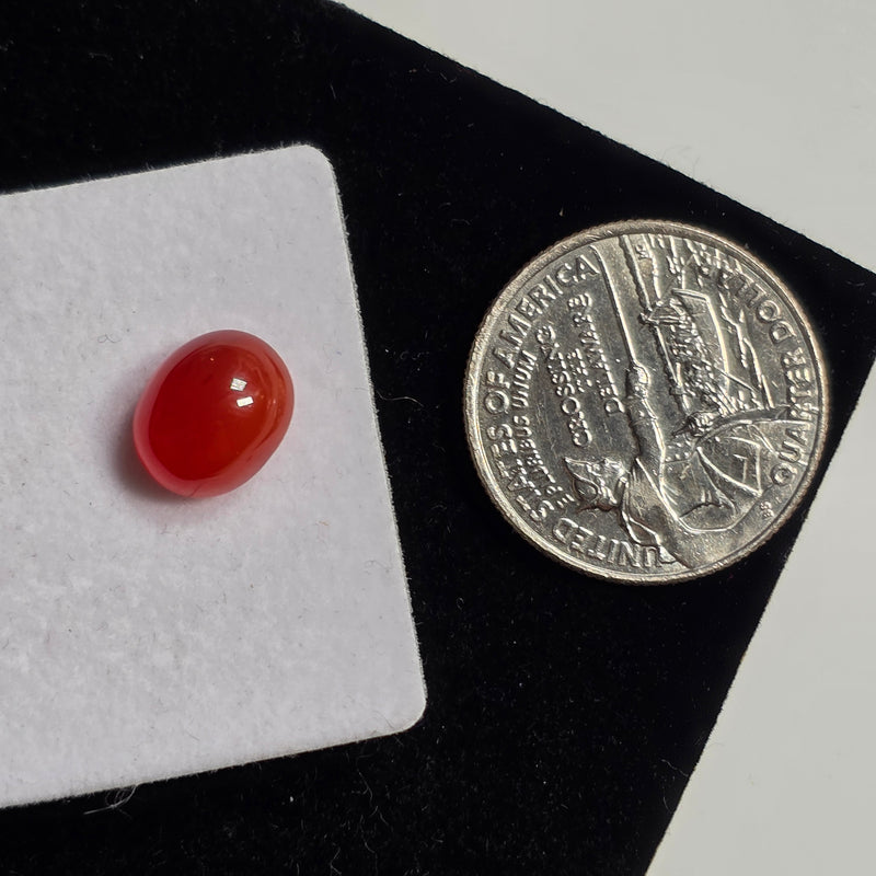 Carnelian 9x11mm Oval Cabochon (1 Piece)