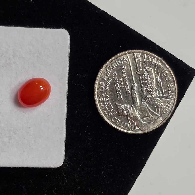 Carnelian 7x9mm Oval Cabochon (1 Piece)