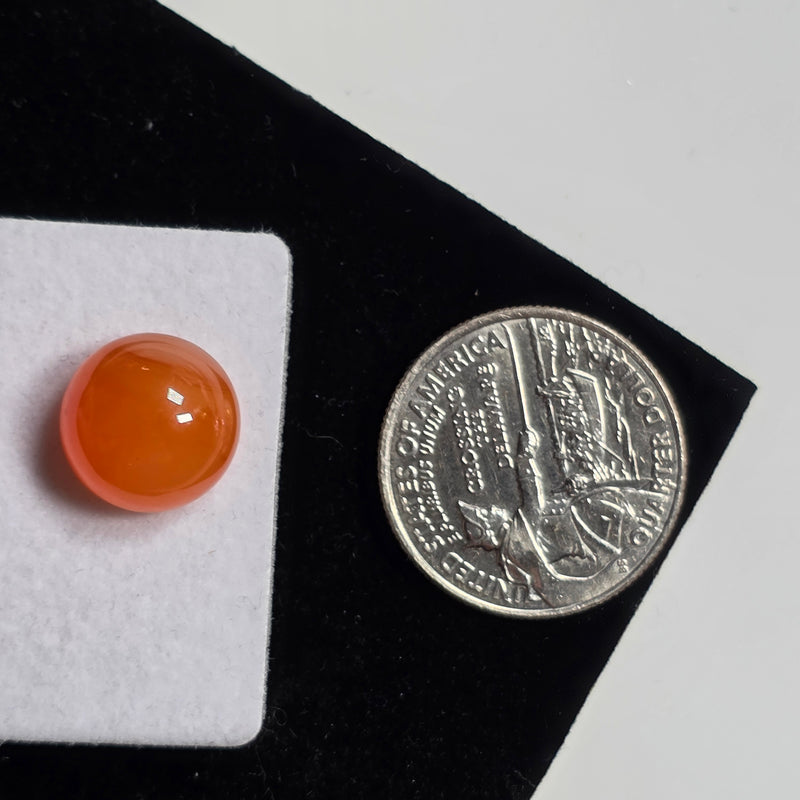 Carnelian 13mm Round Cabochon (1 Piece)