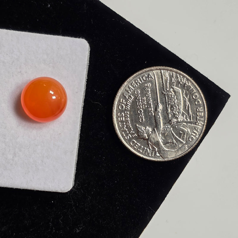 Carnelian 11mm Round Cabochon (1 Piece)