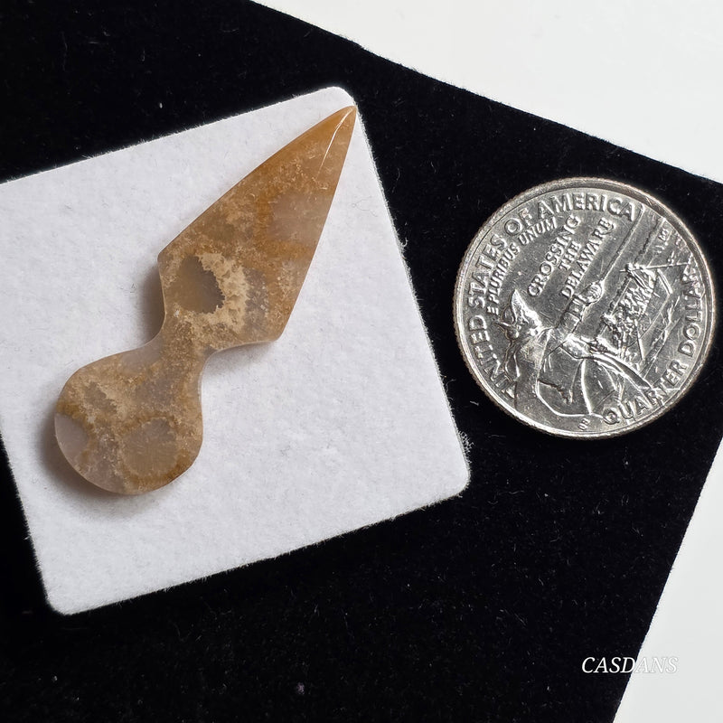 Coral Fossil Kunai
