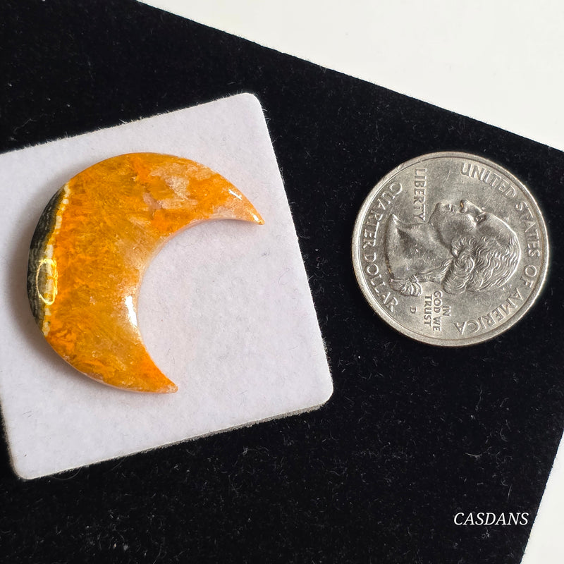 Bumblebee Jasper Moon Cabochon