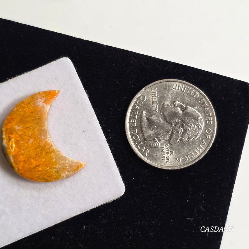 Bumblebee Jasper Moon Cabochon