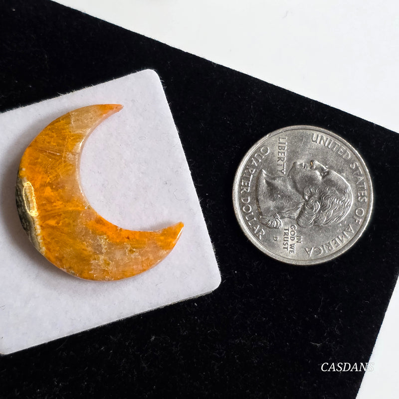 Bumblebee Jasper Moon Cabochon