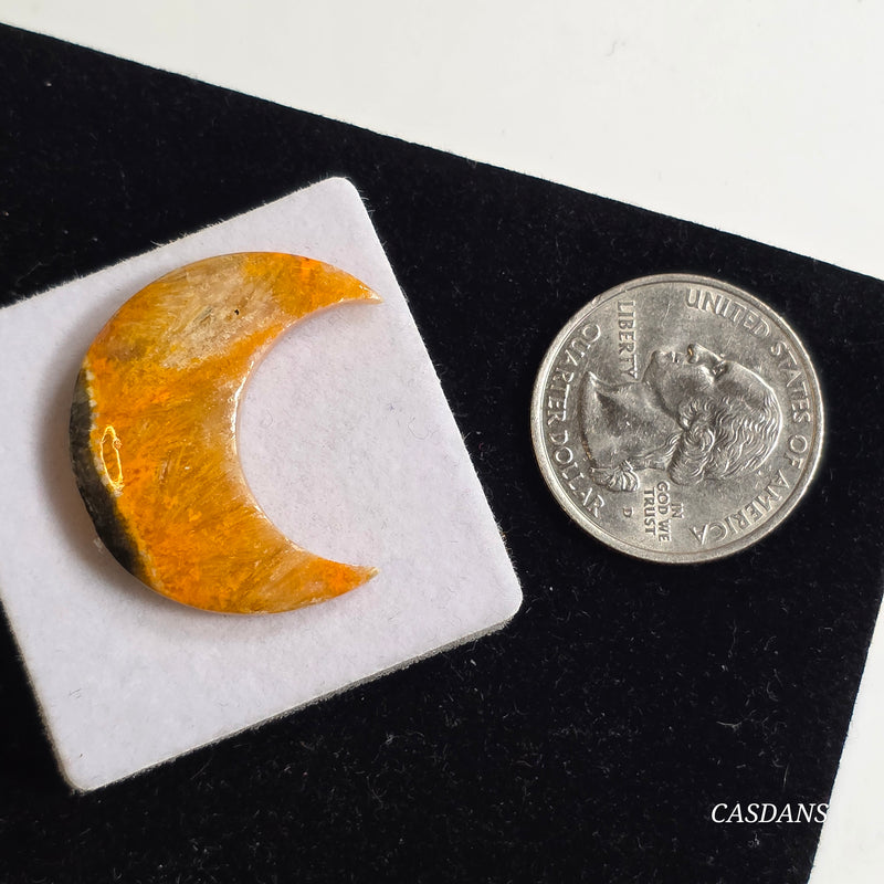 Bumblebee Jasper Moon Cabochon