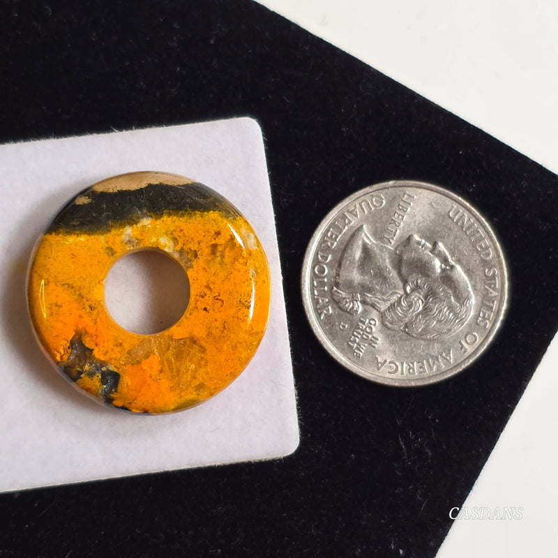 Bumblebee Jasper Donut